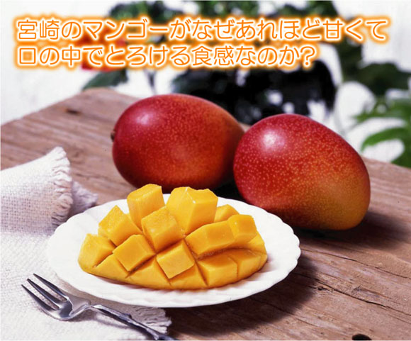 ���n�}���S