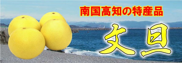 �y�����U