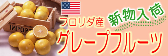 �V���I�O���[�v�t���[�c