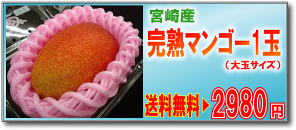 �{�芮�n�}���S-